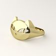 cat-ring-11.jpg Cat ring