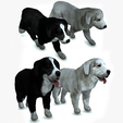 portada2.png DOG DOG - DOWNLOAD Sheepdog 3d model - CANINE PET GUARDIAN WOLF HOUSE HOME GARDEN POLICE 3D printing DOG DOG