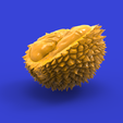 untitled5.424.png Durian