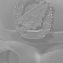 12-Skull-FschJg.jpg STL file Skull German Armed Forces Beret Paratrooper・3D printing idea to download