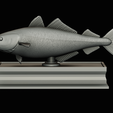 coalfish-statue-box-1-43.png fish coalfish / Pollachius virens with storage space / for 3d printing