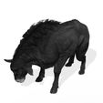 0_00021.jpg DOWNLOAD Buffalo 3D MODEL - 3D MODEL ANIMATED - FOR 3DS MAX - BLENDER 3 FILE - UNITY - UNREAL - CINEMA 4D - FBX - OBJ - MAYA
