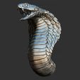 21.jpg Snake cobra