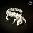 IMG_24332.jpg Skeleton Dragon - Articulated - Print in Place - No Supports - Flexi - Multicolor
