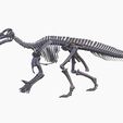 12.jpg Iguanodon: complete skeleton