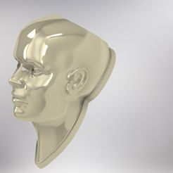 Female-Head-200-Long.jpg STL-Datei Wandhalterung Kopf Topf Pflanze・3D-Druck-Idee zum Herunterladen