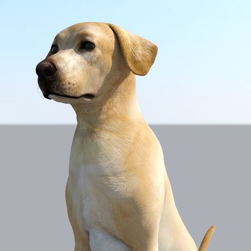 cults3d.com