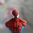 Buste Spiderman