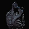 IMG_0043.jpg Silent King