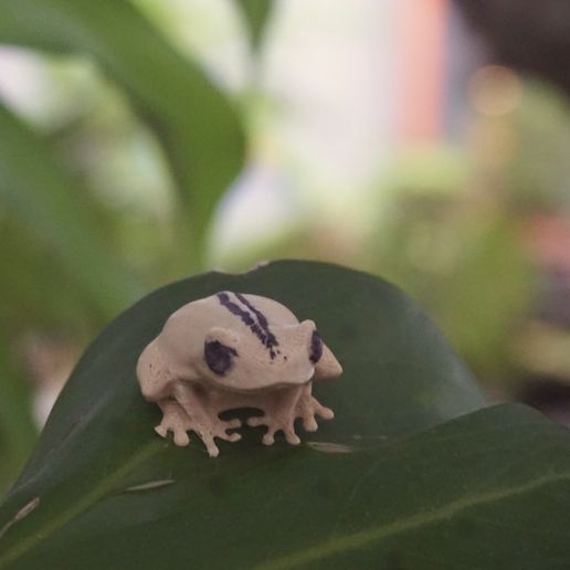 DSC08984.jpeg Coquí artificial