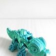 WhatsApp-Image-2023-10-31-at-8.29.52-AM.jpeg Little Flexi Crocodile