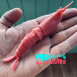 изображение_viber_2022-06-27_18-09-27-282.png Fichier STL WIGGLISS - Crevette / jouet articulé / impression modèle 3D / sla / pla / STL / OBJ・Modèle pour impression 3D à télécharger