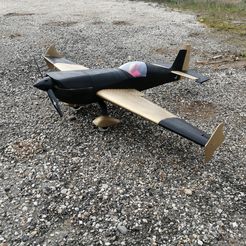 IMG_20220312_165325.jpg STL file Aerobatic plane rc EXTRA 330 (aeromodelling)・3D printing template to download