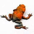 flexi-toad-3D-MODEL-4.jpg Flexi Toad Frog articulated print-in-place no supports