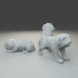 2.png Low polygon Bulldog 3D print model  in three poses