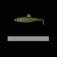 am-bait-pstruh-12cm-2.png 2x AM bait fish 12cm / 16cm hoof form for predator fishing