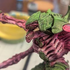 СВОБОДНОЕ ПРОСТРАНСТВО CHONKY BUG