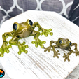 5.png Datei STL Aschenfrosch, Artikulierender Frosch, Laubfrosch, Dartfrosch, Cinderwing3D, Artikulierender flexibler Fidget Niedlicher Druck an Ort und Stelle Keine Stützen・Design für 3D-Drucker zum herunterladen