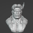 THawk2.png Thunder Hawk Street Fighter Bust
