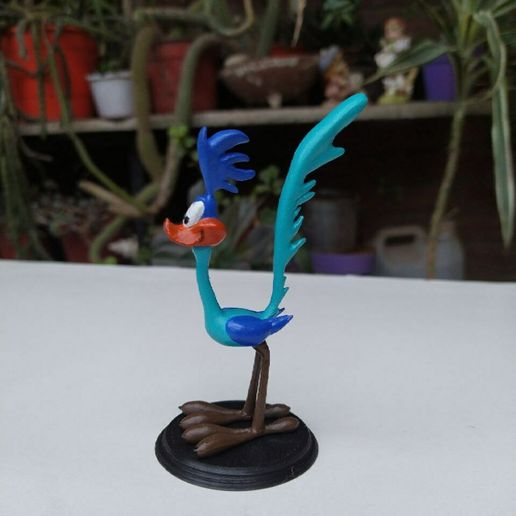 photo_2023-09-01_18-14-36-4.jpg Road Runner