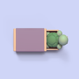 TurtleMatchbox4.jpg Boîte d'allumettes pour tortues