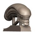 Allien-head1.jpg Alien head
