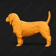 883-Basset_Fauve_de_Bretagne_Pose_03.jpg Basset Fauve de Bretagne Dog 3D Print Model Pose 03
