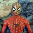 IMG_20230910_095938_426.jpg Spider-man (Tobey Maguire) Marvel Legends Head
