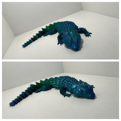 ARTICULATED ARMADILLO LIZARD (LITTLE DRAGON)