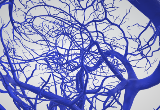 vein,-artery,-cerebrovascular,-brain,-face,-hemisphere,-willis,-dental,-neck,-head,-cerebellum,-vasc.png 3D 头颈部血管解剖图 - 动脉、静脉和脑血管系统