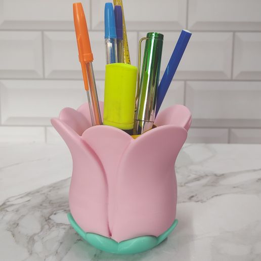 IMG_20250323_1508585251.jpg Tulip pencil