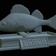 Perch-statue-19.png fish perch / Perca fluviatilis statue detailed texture for 3d printing