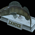 zander-statue-4-mouth-open-19.png fish zander / pikeperch / Sander lucioperca open mouth statue detailed texture for 3d printing