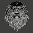 04.jpg Lions HEAD