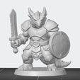 DgagonbornPaladin.jpg Dragonborn Paladin D&D character 3D printable model