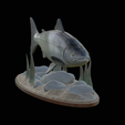 salmo-salar-1-10.png Atlantic salmon / salmo salar / losos obecný fish underwater statue detailed texture for 3d printing