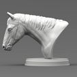 Horse's-head1.jpg Horses head 3D print model