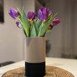 IMG_3836.jpeg Strip Vase and Bowl