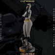 evellen0000.00_00_01_02.Still003.jpg Catwoman Grey Bodysuit - Collectible Edition