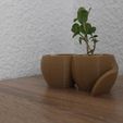 vase2.jpg Plant pot with reservoir