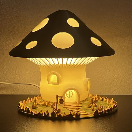 IMG_1773.jpg The Magic Mushroom Lamp!