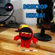 2.jpg DESKTOP FIDGET 3D TOY flexi ninja (Print in place)