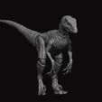 r3.jpg Modelo de figura Raptor