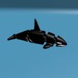 Killer-whale-7.jpg Articulated Killer whale