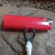 hartebeest_small.jpg Mini beasts Red Hartebeest skull