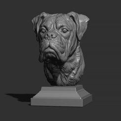 16.jpg Fichier STL Deutscher Boxer bust・Design imprimable en 3D à télécharger