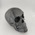IMG_20200720_111628.jpg Classic Skull