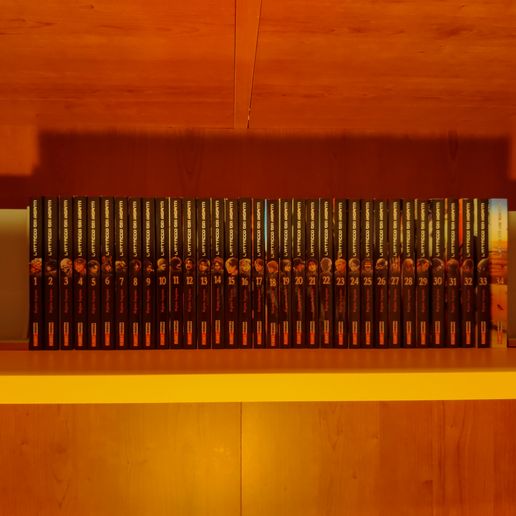 IMG_20220119_113023.jpg Porte-livres inspiré de l'AoT