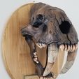 20190310_102620.jpg Smilodon Skull Fossil - with Augmented Reality app