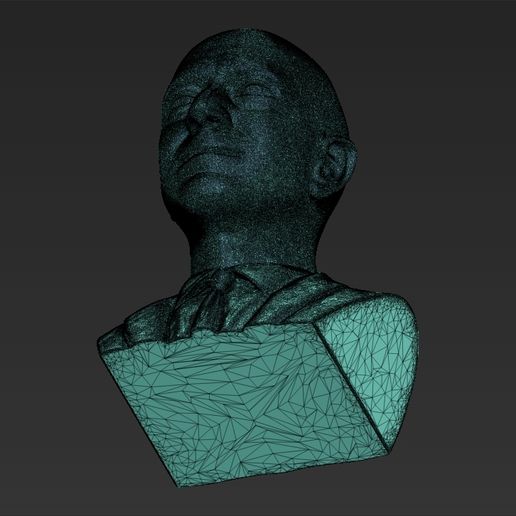 27.jpg Descargar archivo Jeff Bezos rompió la impresión en 3D de los formatos stl obj listos para ser impresos. • Modelo para la impresora 3D, PrintedReality